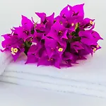 Roses Hotel 2*